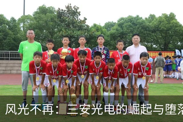 风光不再：三安光电的崛起与堕落